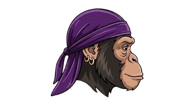 Du-RAG logo